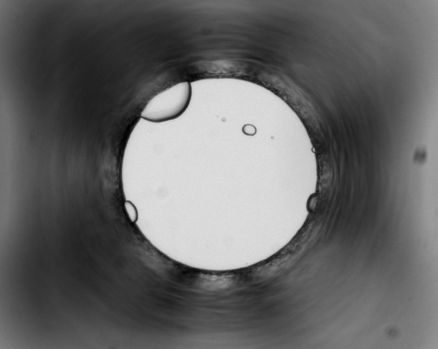 X0000103410469200810241213