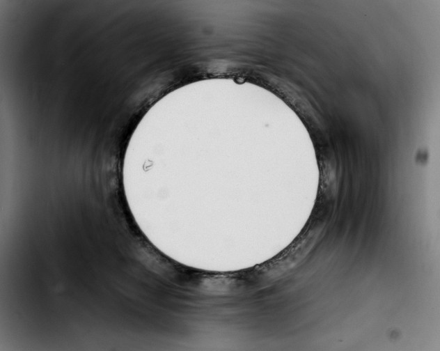 X0000103410470200810241213