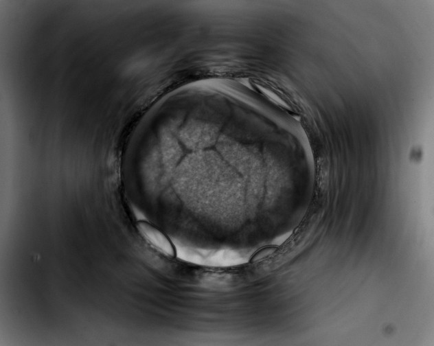 X0000103410471200810241213