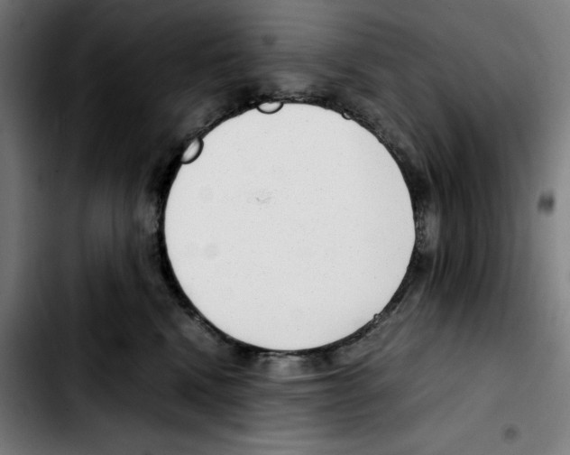 X0000103410472200810241213