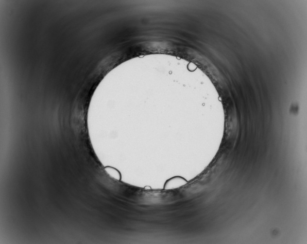 X0000103410473200810241213