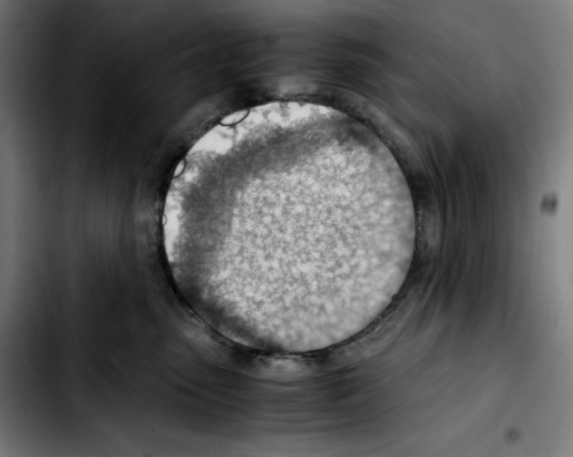 X0000103410475200810241213