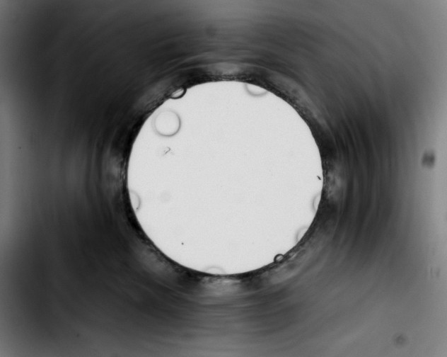 X0000103410476200810241213