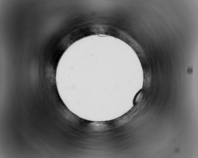 X0000103410477200810241213