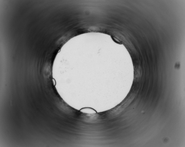 X0000103410478200810241213