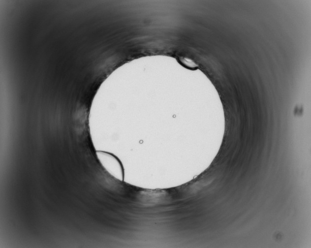 X0000103410480200810241213