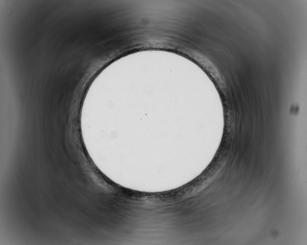 X0000103410481200810241212