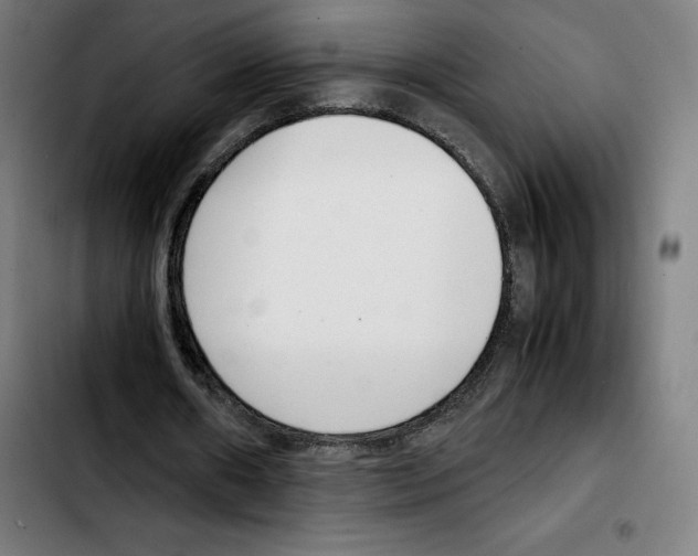 X0000103410482200810241212