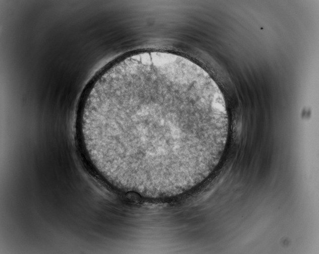 X0000103410484200810241212