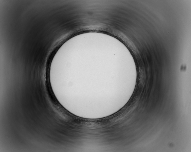 X0000103410486200810241212