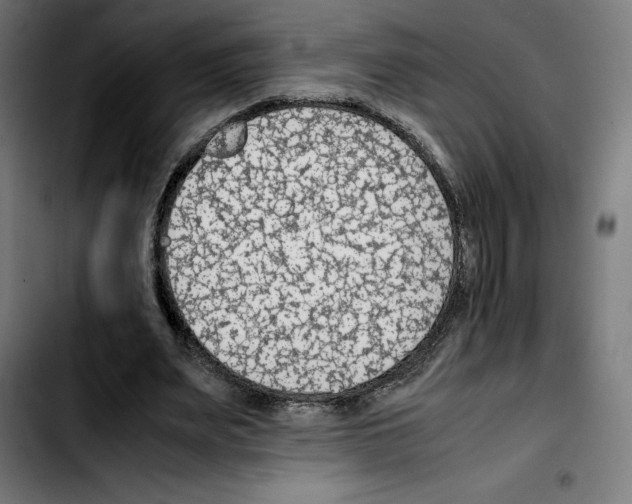 X0000103410487200810241212