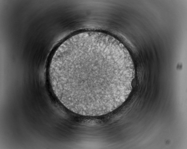 X0000103410488200810241212