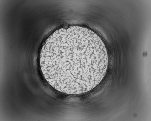 X0000103410491200810241212