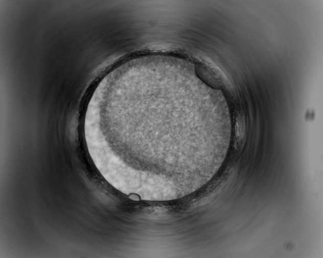 X0000103410492200810241212