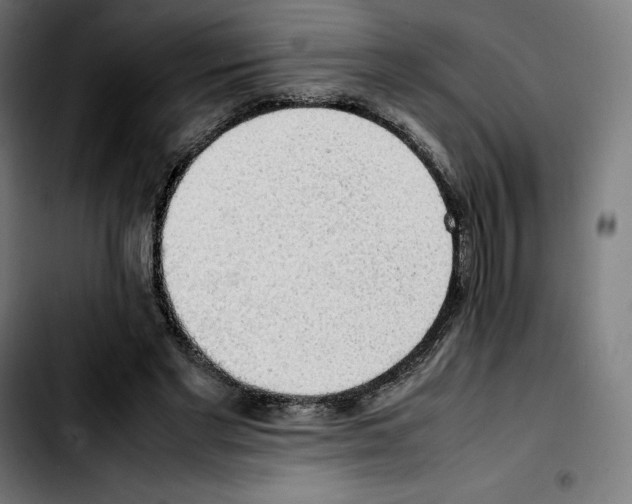 X0000103410493200810241212