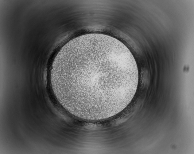 X0000103410494200810241212