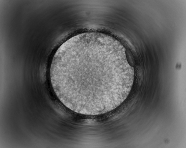 X0000103410496200810241212