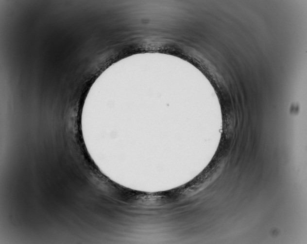 X0000103410497200810241212