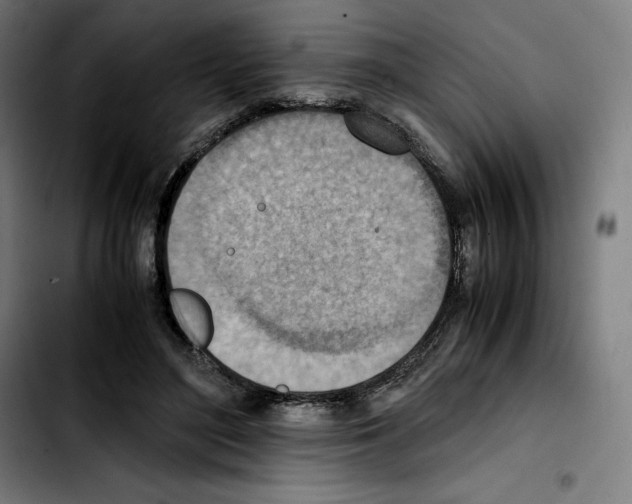 X0000103410500200810241212