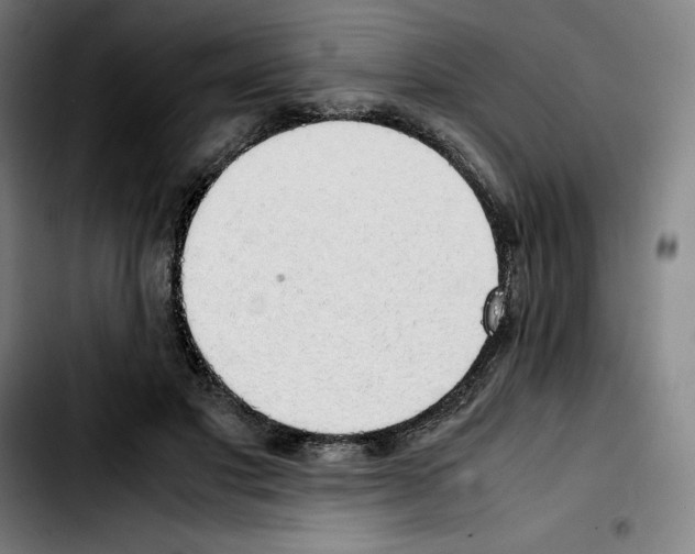 X0000103410501200810241212