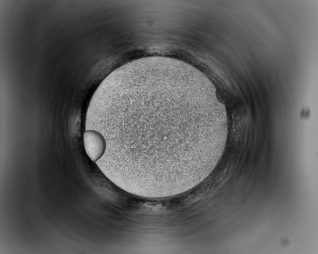 X0000103410502200810241212