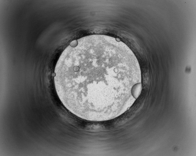 X0000103410503200810241212