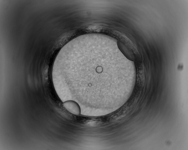 X0000103410504200810241212