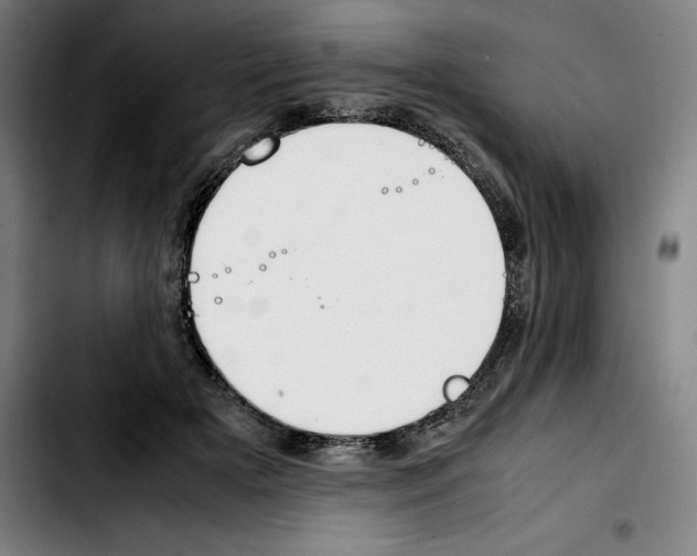 X0000103410505200810241212