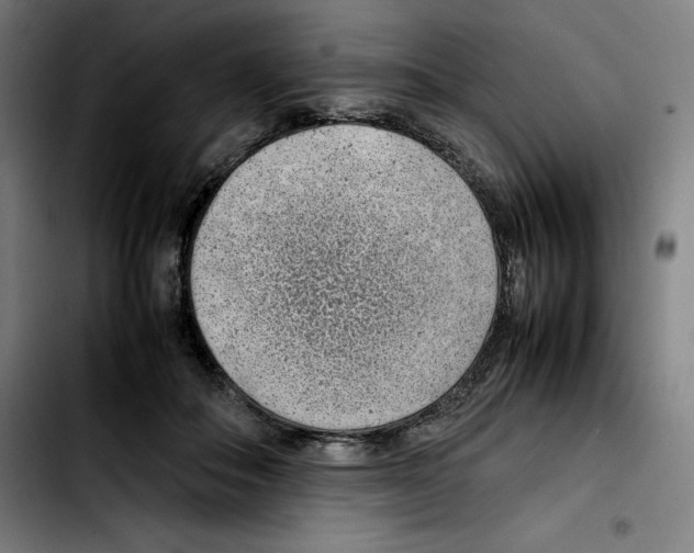 X0000103410506200810241212