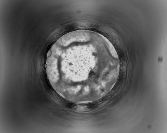 X0000103410507200810241212