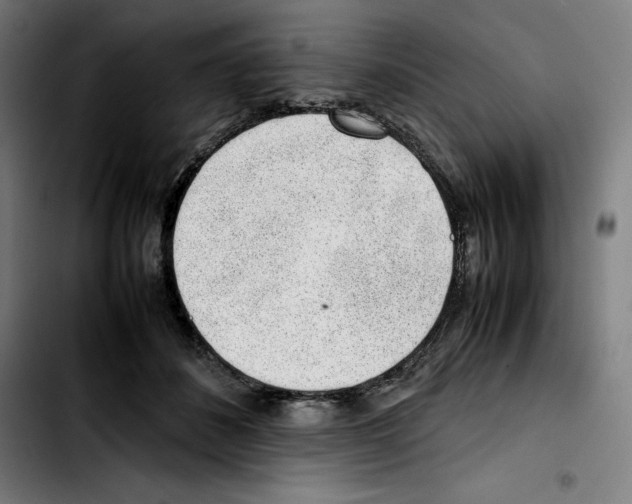 X0000103410508200810241212