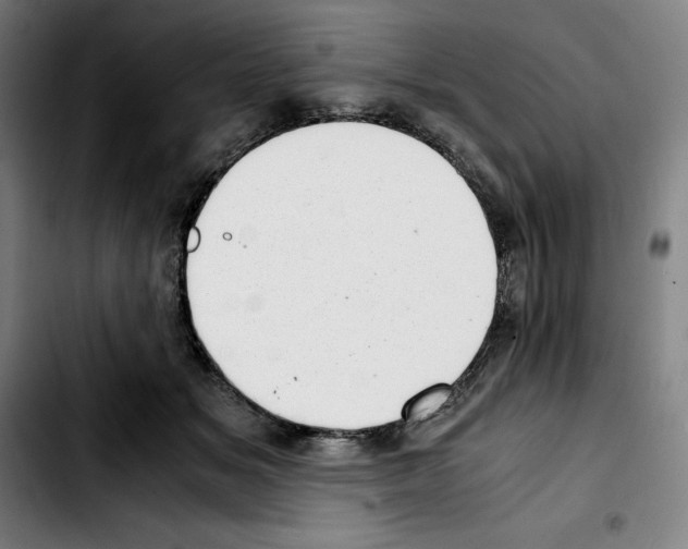 X0000103410509200810241211