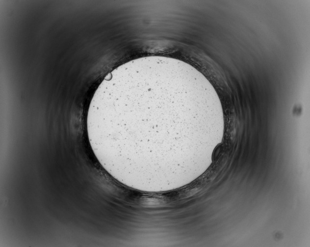 X0000103410510200810241211