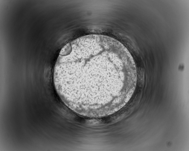 X0000103410511200810241211