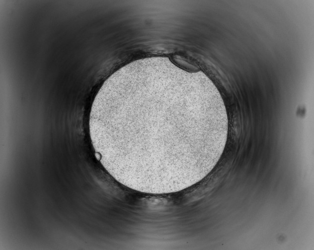 X0000103410512200810241211