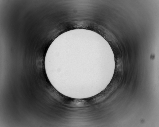 X0000103410514200810241211