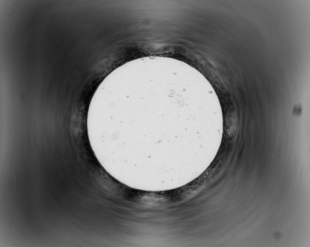 X0000103410515200810241211