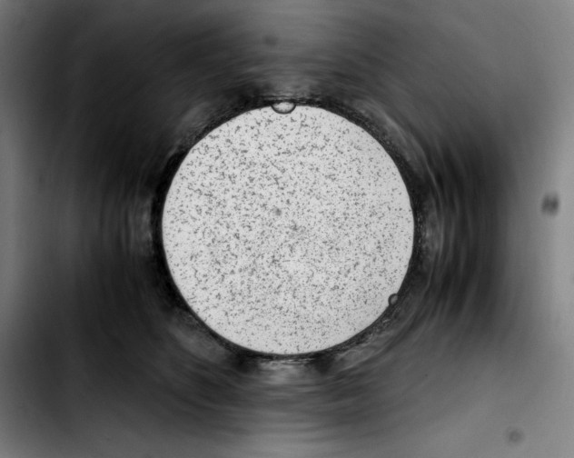 X0000103410516200810241211