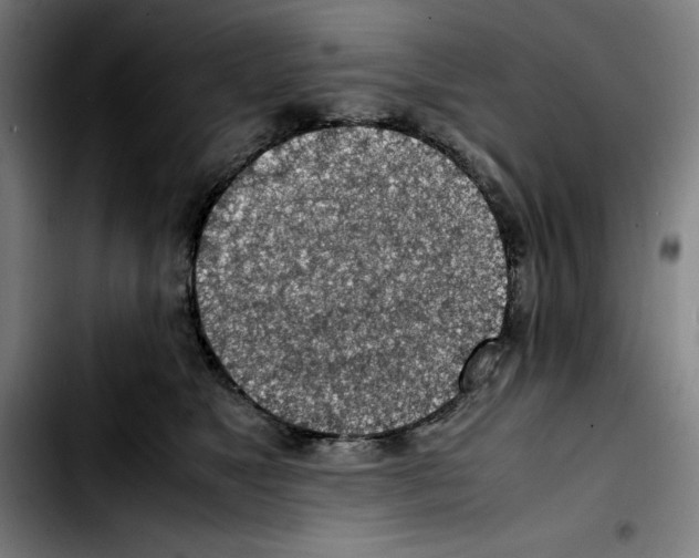 X0000103410517200810241211