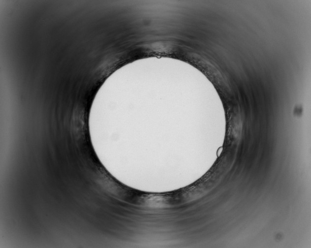 X0000103410518200810241211