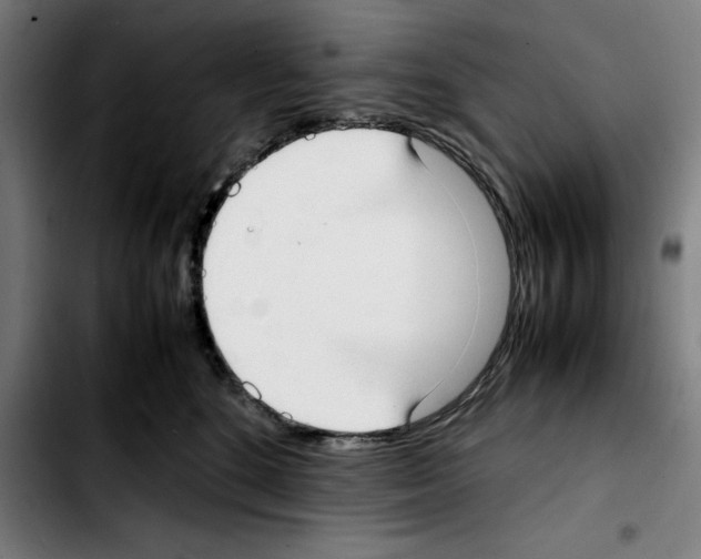 X0000103410520200810241211