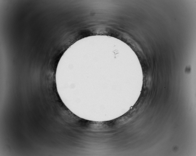 X0000103410521200810241211