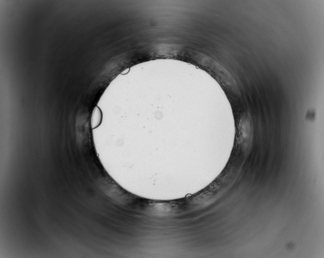 X0000103410522200810241211