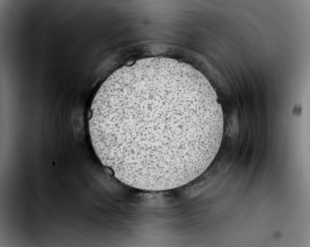 X0000103410524200810241211