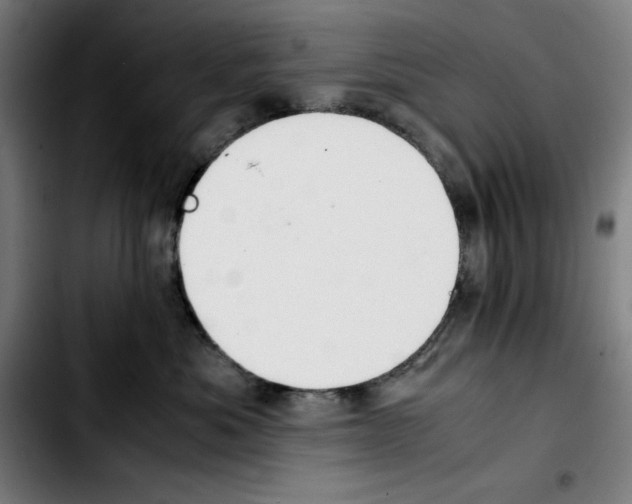 X0000103410525200810241211