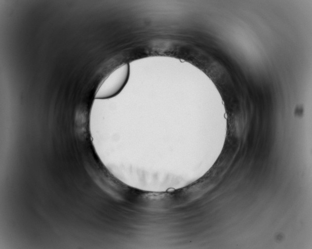 X0000103410526200810241211