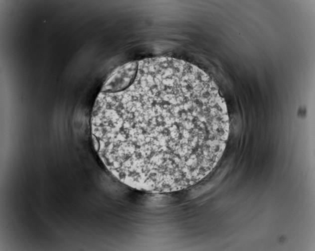 X0000103410527200810241211