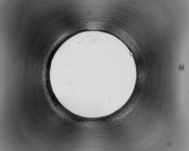 X0000103410530200810241211