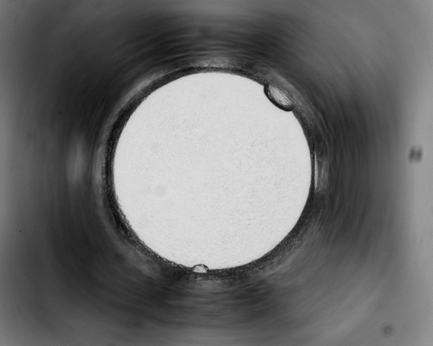 X0000103410531200810241211