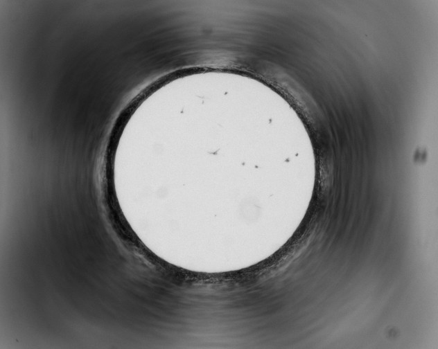 X0000103410532200810241211